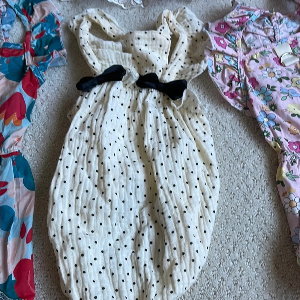 Bundle of Assorted Dog Dresses and Outfits